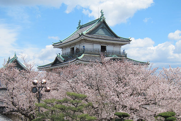 和歌山城公園　桜まつり